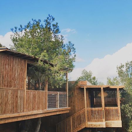 Villa Occitana กัลวีสซง ภายนอก รูปภาพ